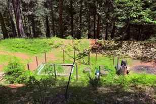 6105 Little Mountain Rd, Somerset, CA 95684 - Photo 36