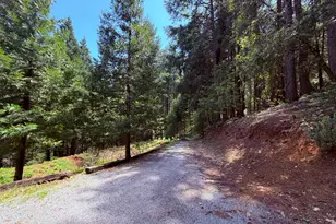 6105 Little Mountain Rd, Somerset, CA 95684 - Photo 46