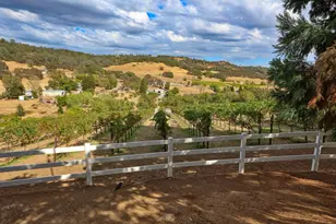 6000 Salmon Falls Rd, Pilot Hill, CA 95664 - Photo 76