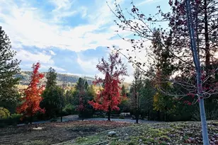 1198 Hanging Tree, Murphys, CA 95247 - Photo 36