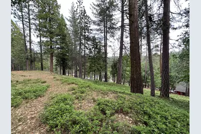 1566 Patricia Lane, Arnold, CA 95223 - Photo 6