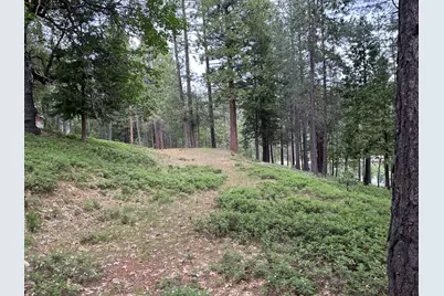 1566 Patricia Lane, Arnold, CA 95223 - Photo 4