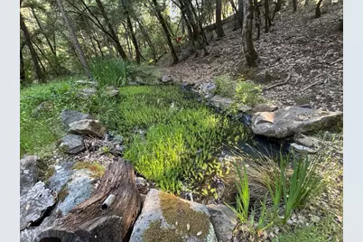 1000 Thundercloud Lane, Placerville, CA 95667 - Photo 68