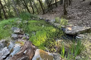 1000 Thundercloud Ln, Placerville, CA 95667 - Photo 68
