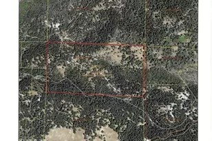 1000 Thundercloud Ln, Placerville, CA 95667 - Photo 94