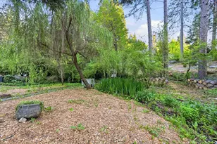 516 Nursery St, Nevada City, CA 95959 - Photo 38