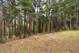 6742 Diamond Dr, Pollock Pines, CA 95726 - Photo 26