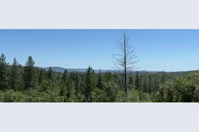 371 Blossom Lane, Mokelumne Hill, CA 95245 - Photo 12