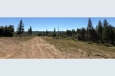 371 Blossom Lane, Mokelumne Hill, CA 95245 - Photo 10