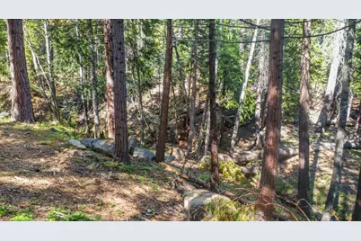 2159 Sierra Parkway, Dorrington, CA 95223 - Photo 18