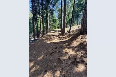 3653 Bigfoot Circle, Arnold, CA 95223 - Photo 8