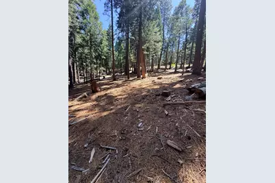 3653 Bigfoot Circle, Arnold, CA 95223 - Photo 12