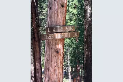 3653 Bigfoot Circle, Arnold, CA 95223 - Photo 1