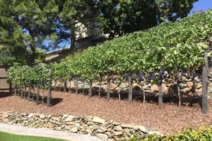 5011 Tesoro Way, El Dorado Hills, CA 95762 - Photo 40