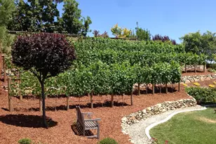5011 Tesoro Way, El Dorado Hills, CA 95762 - Photo 38
