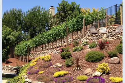5011 Tesoro Way, El Dorado Hills, CA 95762 - Photo 36