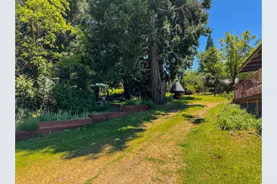 48 Pine Street, West Point, CA 95255 - Photo 56