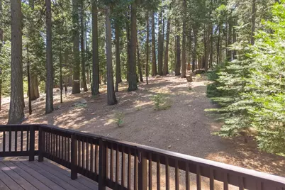 2203 Karock Road, Dorrington, CA 95223 - Photo 42