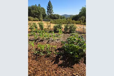 6880 Kahala Road, Garden Valley, CA 95633 - Photo 22