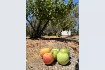 19664 Penn Valley Drive, Penn Valley, CA 95946 - Photo 44