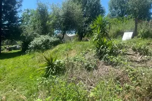 10678 Peoria Rd, Browns Valley, CA 95918 - Photo 10