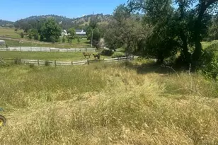 10678 Peoria Rd, Browns Valley, CA 95918 - Photo 8