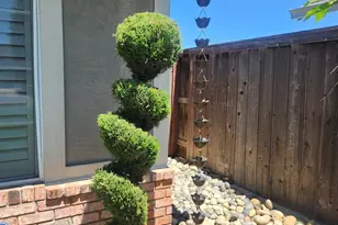 777 Jordanolo, Ripon, CA 95366 - Photo 48