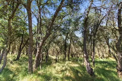 12360 Cheyenne Drive, Burson, CA 95225 - Photo 34
