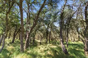 12360 Cheyenne Dr, Burson, CA 95225 - Photo 34