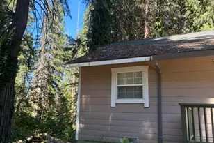2823 Blair Rd, Pollock Pines, CA 95726 - Photo 12