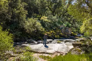 1992 Rabbit Ridge Rd, Somerset, CA 95684 - Photo 96