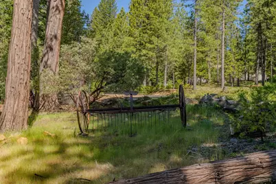 26340 Cedar Avenue, Pioneer, CA 95666 - Photo 32