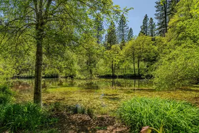 26340 Cedar Avenue, Pioneer, CA 95666 - Photo 40