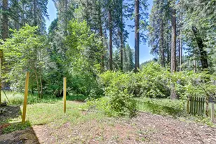 6237 Drop Off R, Pollock Pines, CA 95726 - Photo 4