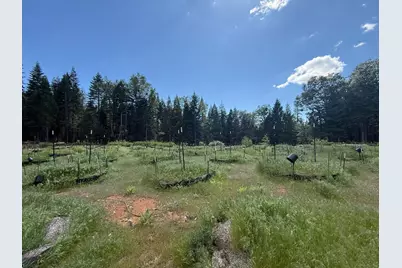 14940 Chalk Bluff Road, Nevada City, CA 95959 - Photo 20