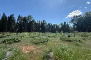 14940 Chalk Bluff Rd, Nevada City, CA 95959 - Photo 20
