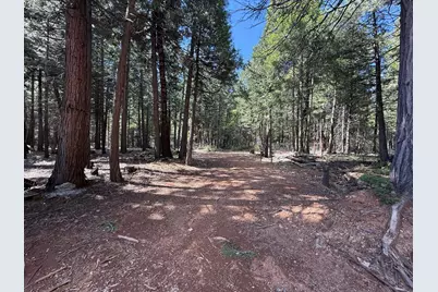 14940 Chalk Bluff Road, Nevada City, CA 95959 - Photo 12