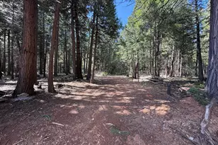 14940 Chalk Bluff Rd, Nevada City, CA 95959 - Photo 12