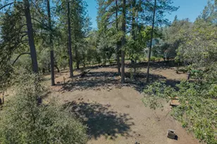 1479 Roaring Camp, Murphys, CA 95247 - Photo 36
