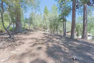 1479 Roaring Camp, Murphys, CA 95247 - Photo 44