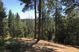 3951 Jacobus Dr, Garden Valley, CA 95633 - Photo 90