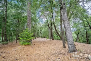 3951 Jacobus Dr, Garden Valley, CA 95633 - Photo 72