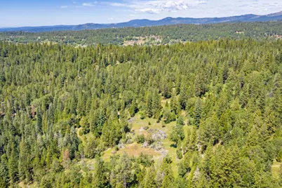 6420 Starkes Grade Road, Pollock Pines, CA 95726 - Photo 44