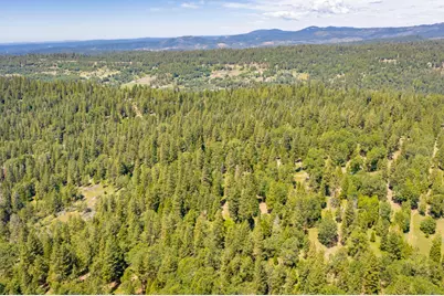 6420 Starkes Grade Road, Pollock Pines, CA 95726 - Photo 50