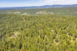 6420 Starkes Grade Rd, Pollock Pines, CA 95726 - Photo 50
