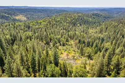 6420 Starkes Grade Road, Pollock Pines, CA 95726 - Photo 42
