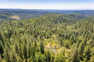 6420 Starkes Grade Rd, Pollock Pines, CA 95726 - Photo 42