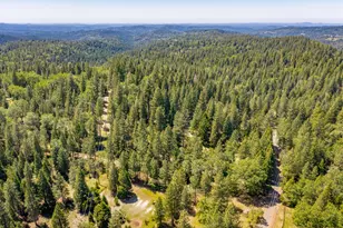 6420 Starkes Grade Rd, Pollock Pines, CA 95726 - Photo 40