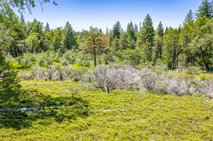 6420 Starkes Grade Rd, Pollock Pines, CA 95726 - Photo 34