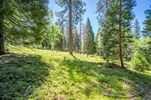 6420 Starkes Grade Rd, Pollock Pines, CA 95726 - Photo 56